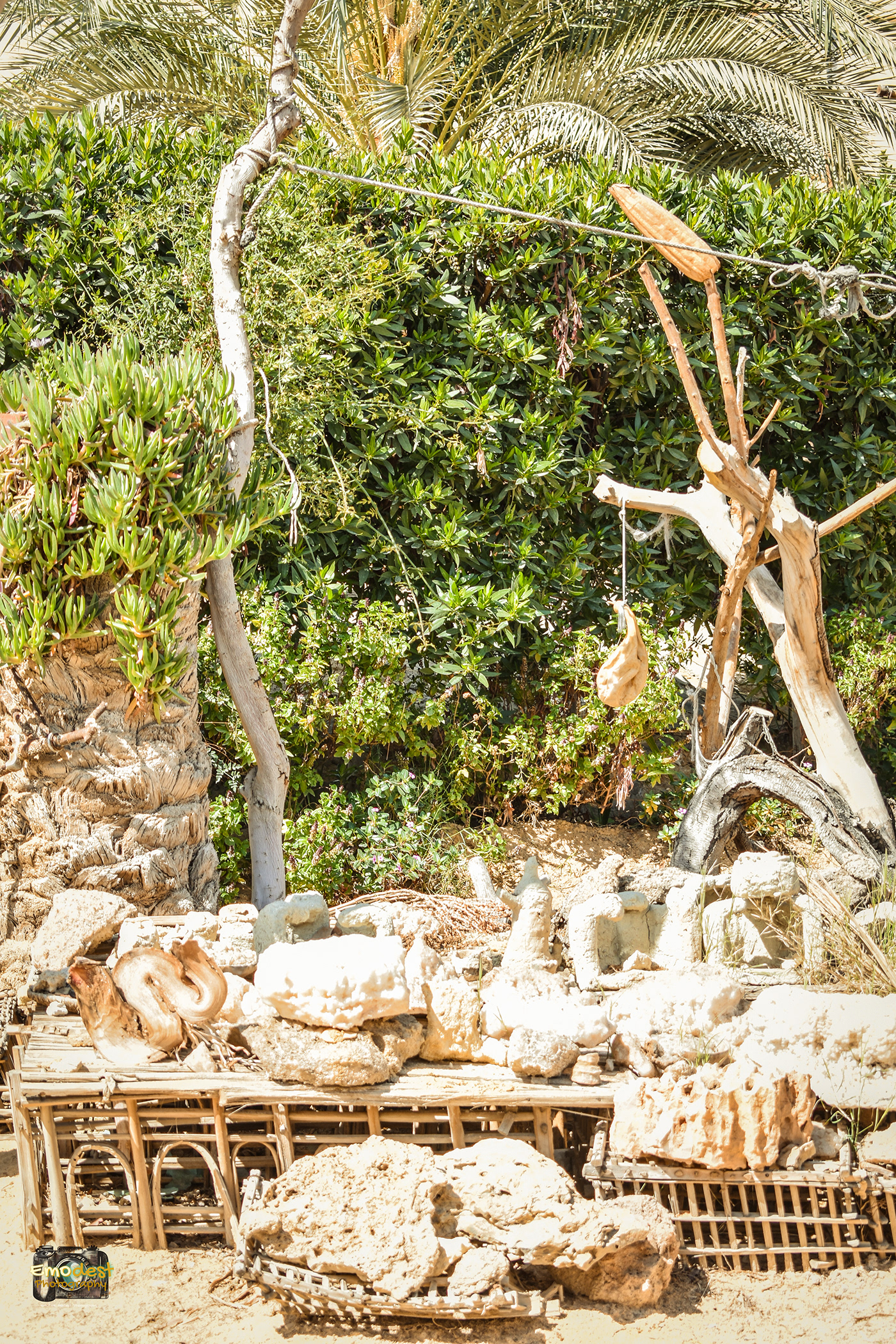 Camp Outdoor - Siwa Oasis-1