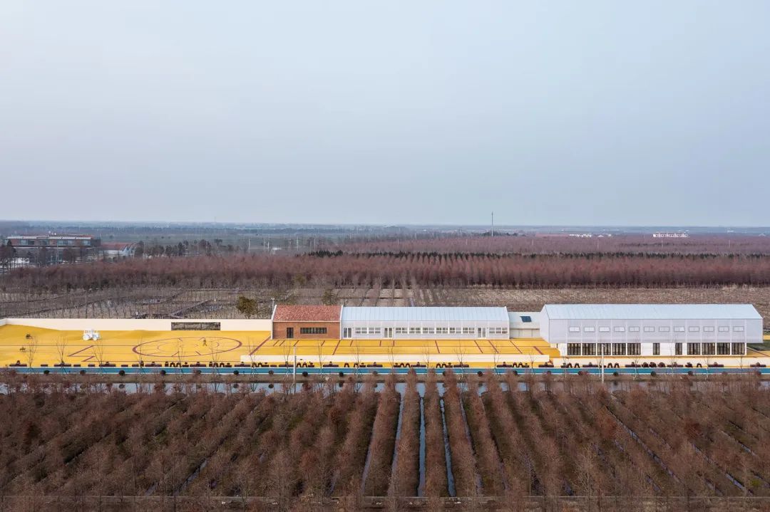 黄金晒谷场 Cockaigne of Everyman丨中国上海丨Wutopia Lab-6