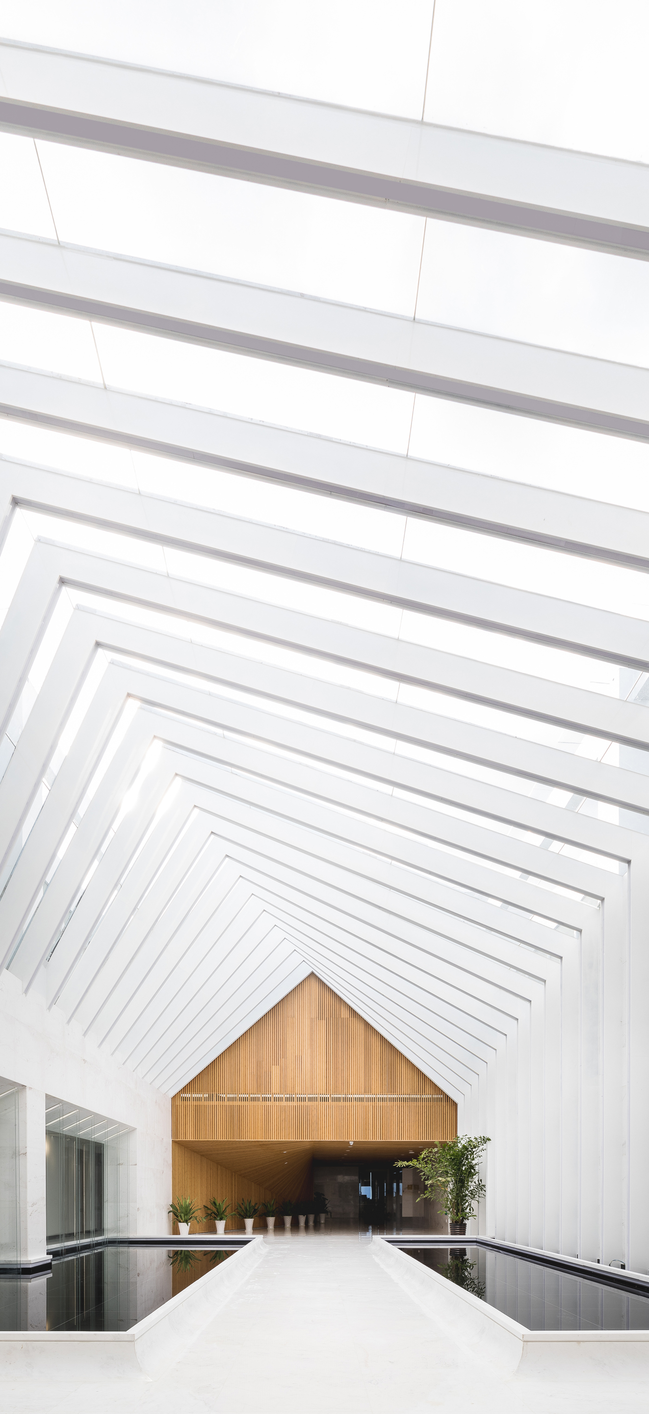 光之隧道 | 传统与现代的对话-28