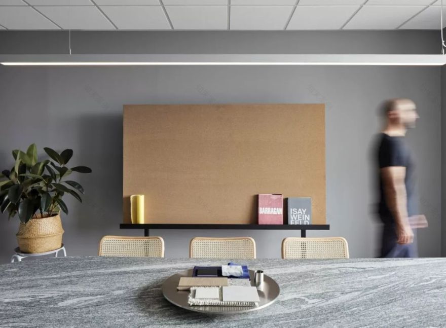 Davidov Architects | 住宅与公共概念的融合-3