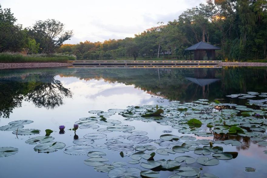 深圳麒麟山天鹅湖碧道景观设计丨中国深圳丨AUBE 欧博设计,中国电建集团华东勘测设计研究院有限公司-8