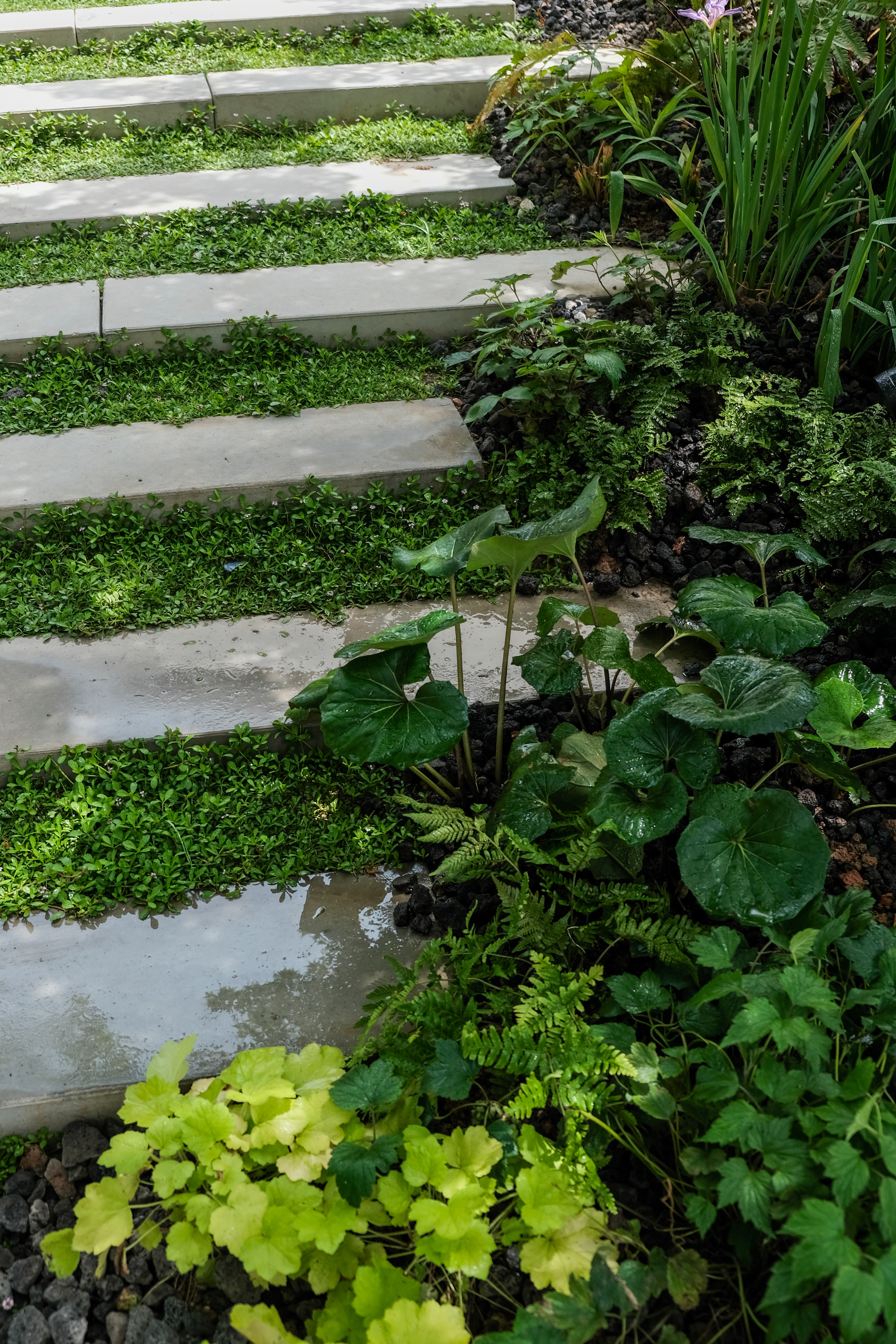 麓湖CPI二期 KOKO MARKET丨中国成都丨象界设计机构,几里建筑vari architects-34