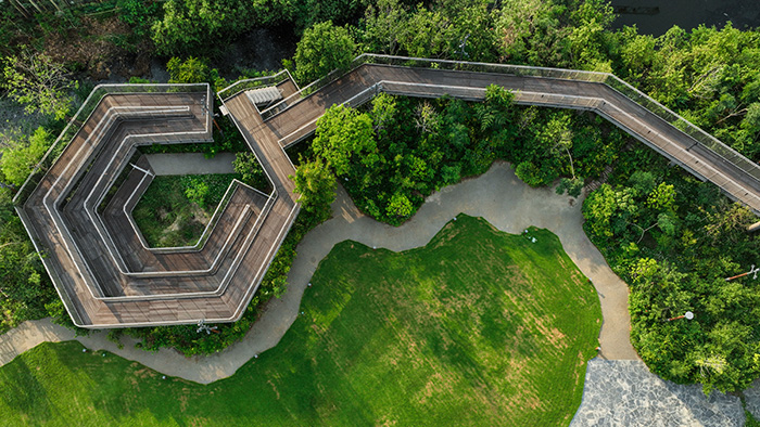 Sky Walk Clearing and Build-8