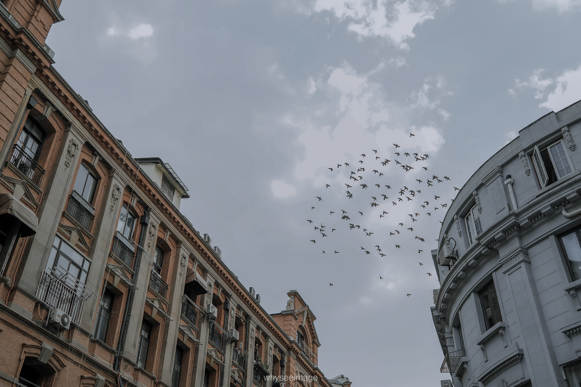 在被框选的画面之外 · 不如回到街头丨中国上海丨whyseeimage-38