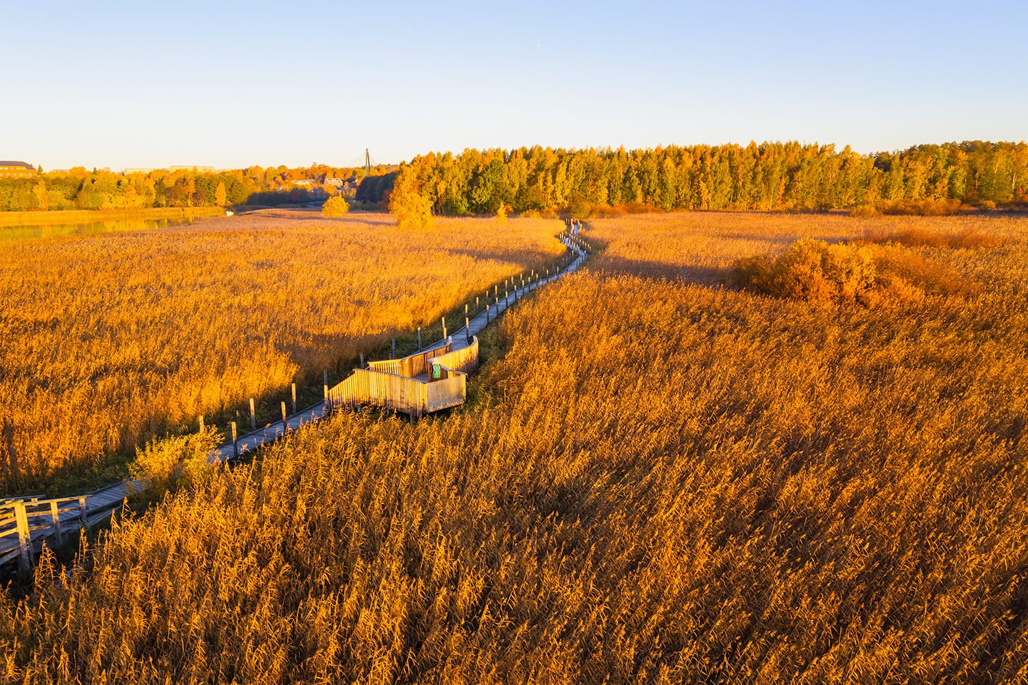 Nattours 无障碍休闲路径-6