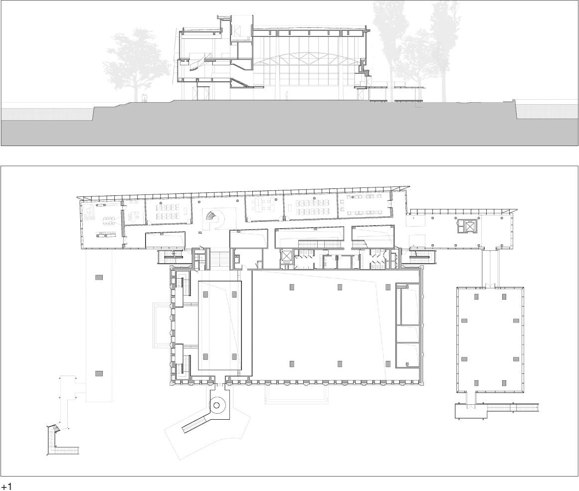 南开大学海冰中心 | 历史校园中的现代空间-12