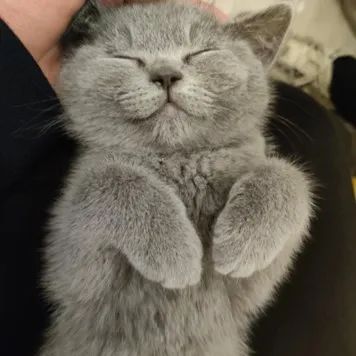 疫情下的致澜景观复工 | 有序复工,保障安全-82