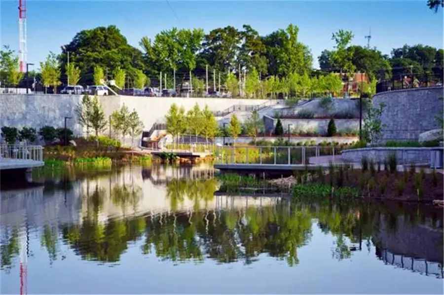 边界植物在景观设计中的妙用-0