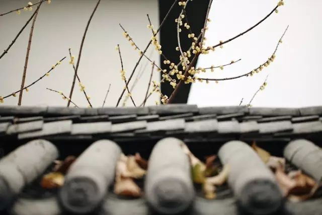 Color Case/90后帅小伙儿仅花3千爆改出租屋后-34