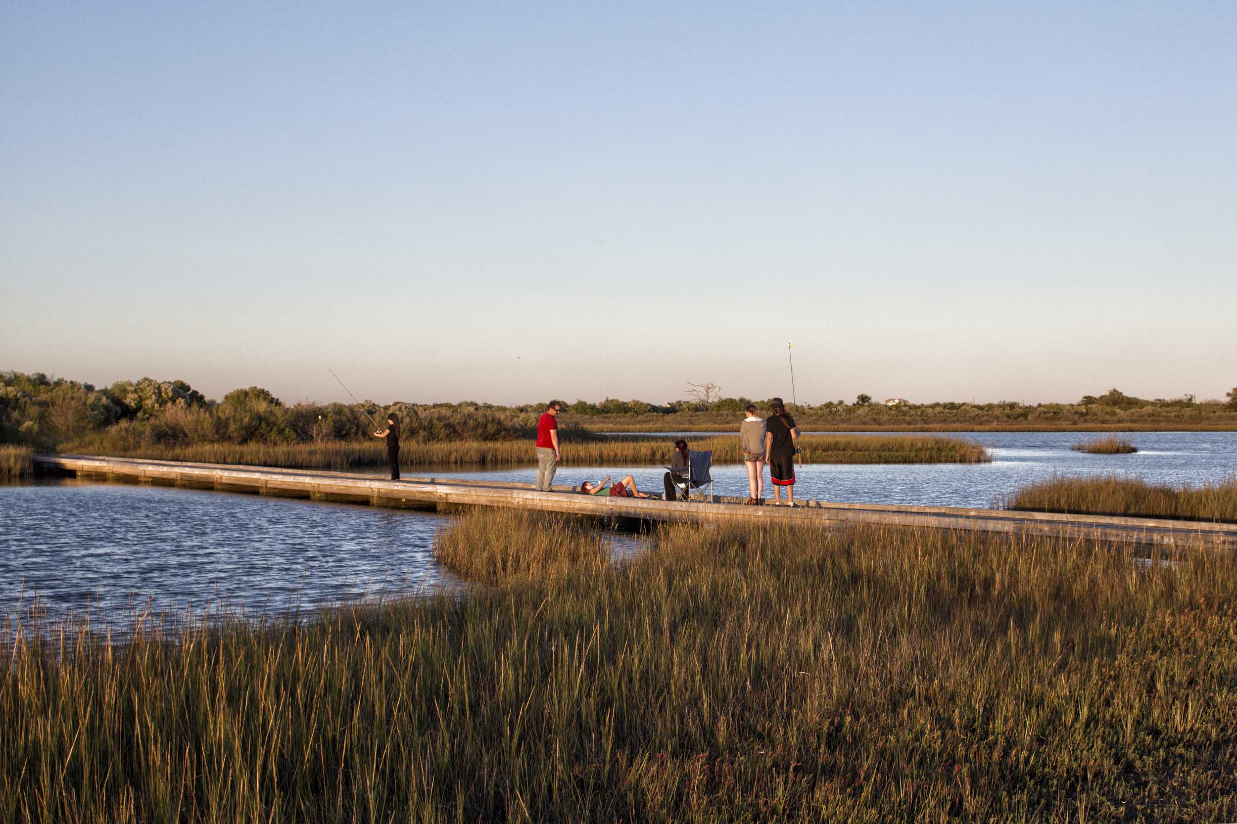 美国加尔维斯敦岛国家生态湿地公园 (asla)Galveston Island State Park-2