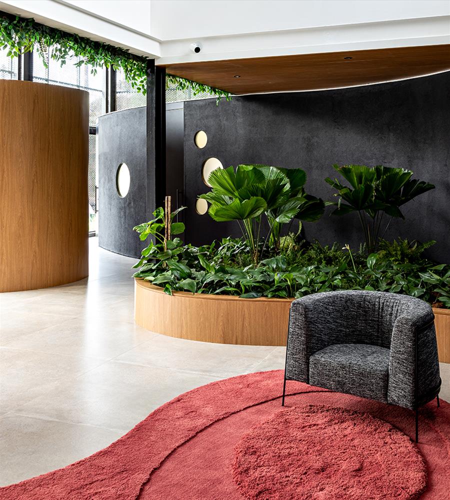 巴西 Botoclinic 美学诊所 | 现代钢木玻璃建筑的典范-3