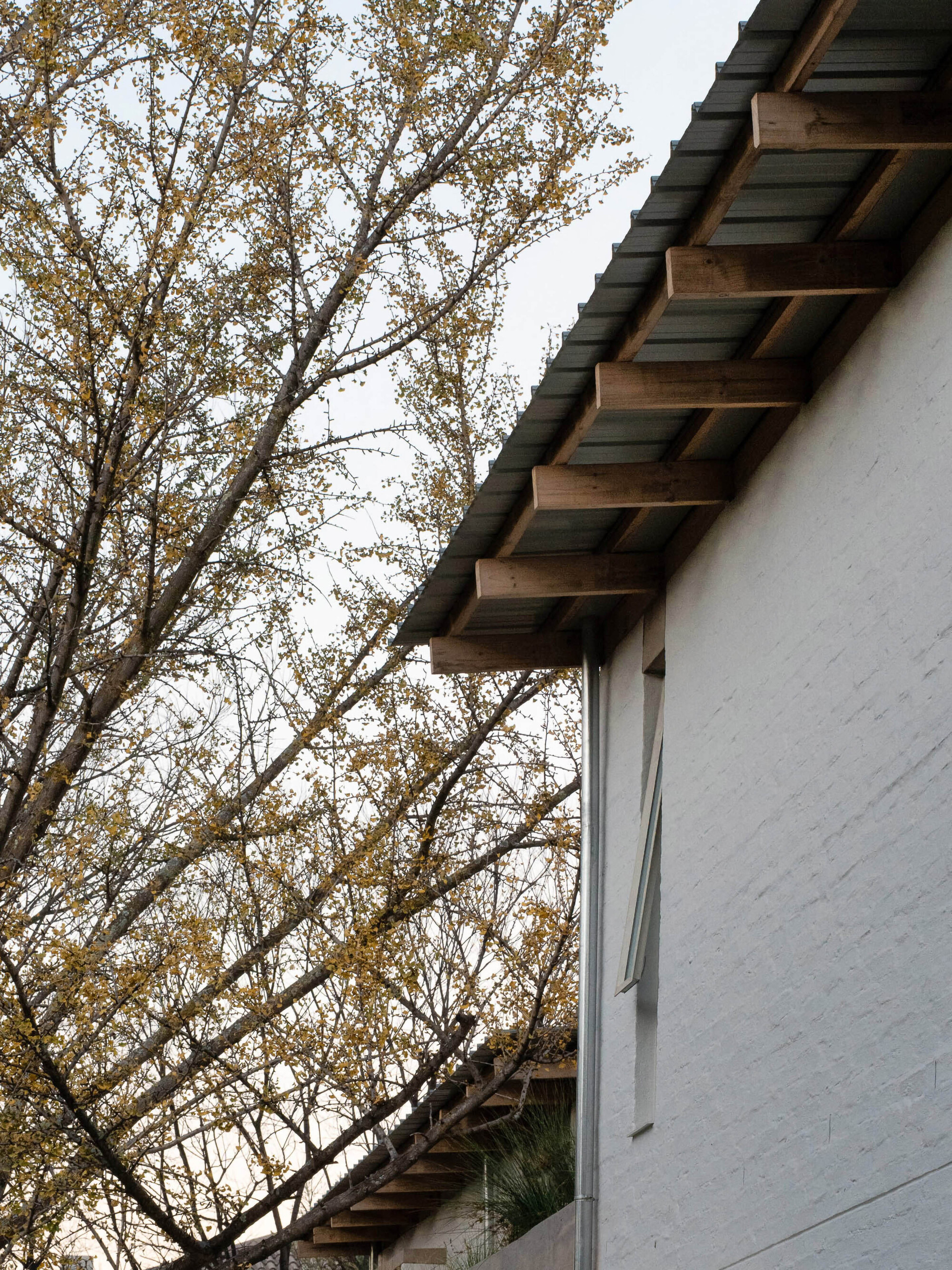 丨南非丨MiMo Architects-38