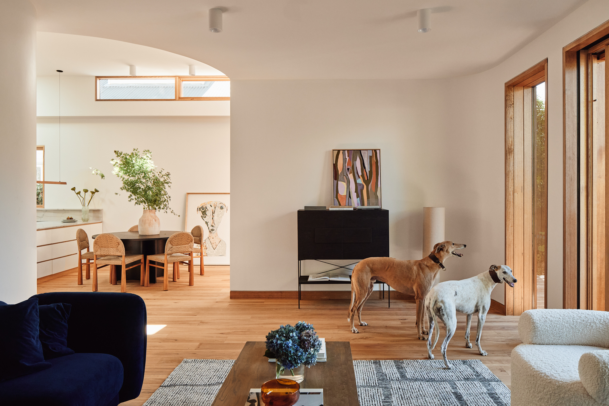 仙影拳屋（注：Cereus是仙影拳属植物，这里House可直译为屋，具体可能需结合实际语境理解，比如它可能是某个以仙影拳为主题或特色的建筑、场所等） 丨澳大利亚墨尔本丨Circle Studio Architects-17