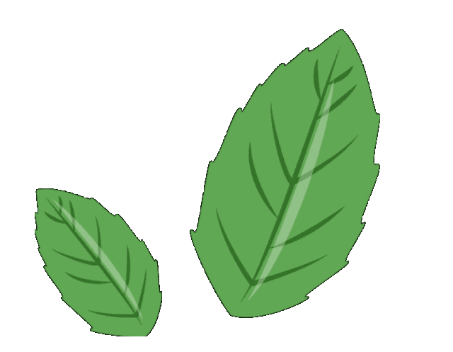 现代简约庭院设计-5