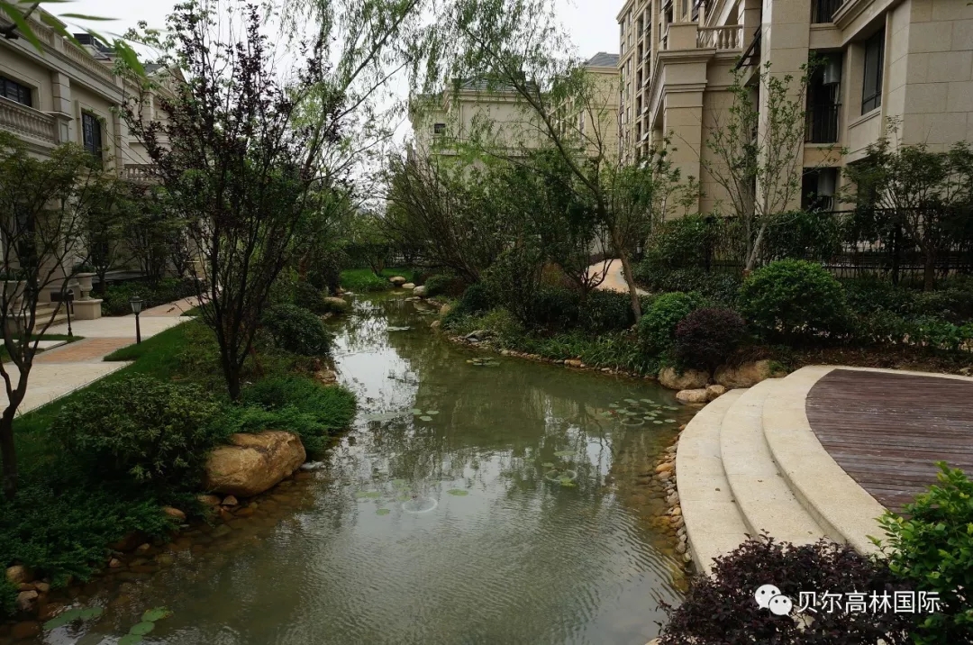 合肥新华•御湖庄园-88