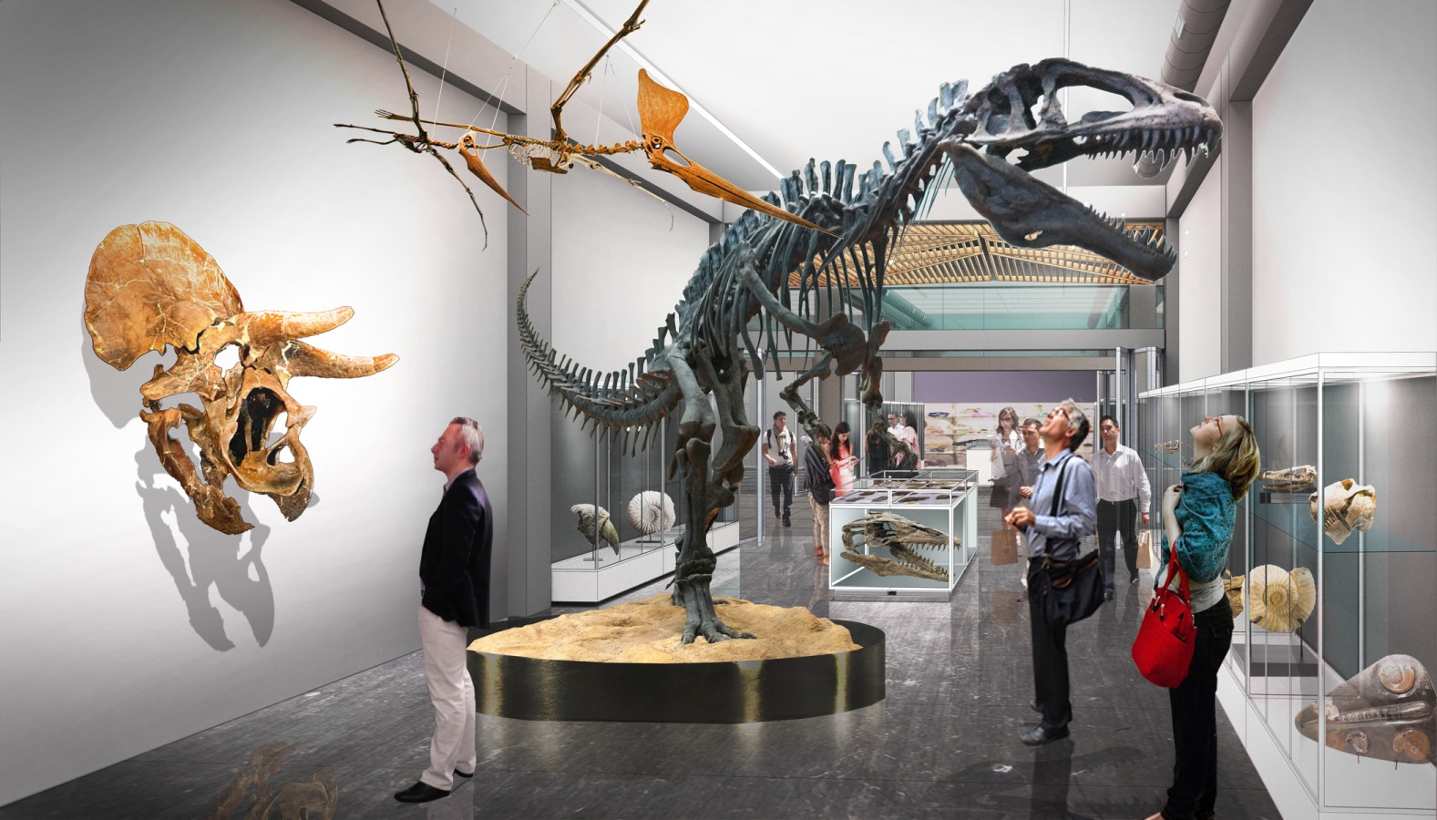 丨美国图森丨Rob Paulus Architects-5