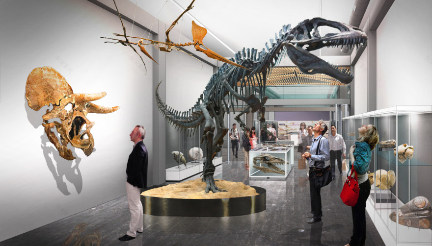 丨美国图森丨Rob Paulus Architects-5