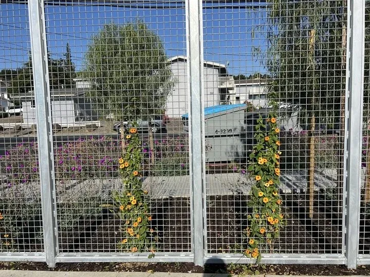 Blue Oak Landing — Fletcher Studio-60