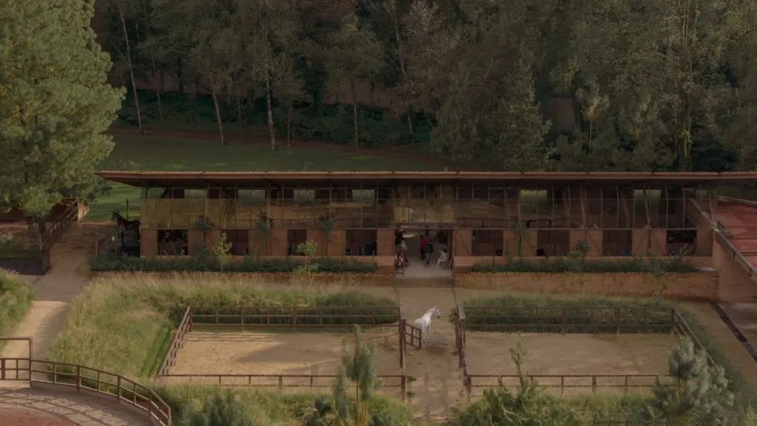 马术圣拉蒙丨墨西哥丨Módica Ledezma-10