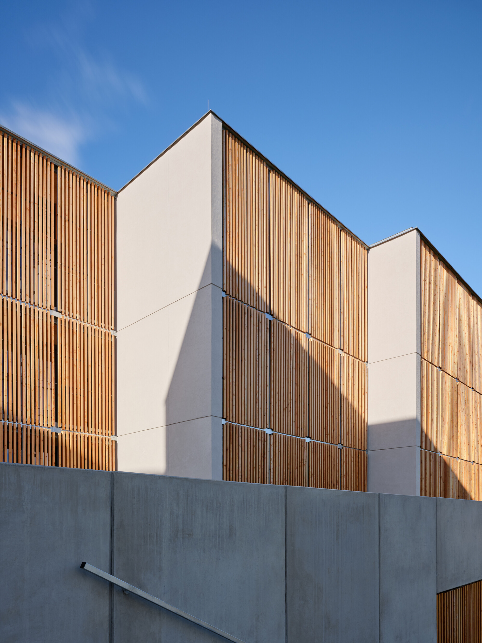 兹达尔木制房屋丨捷克丨Kuba & Pilar architekti-33