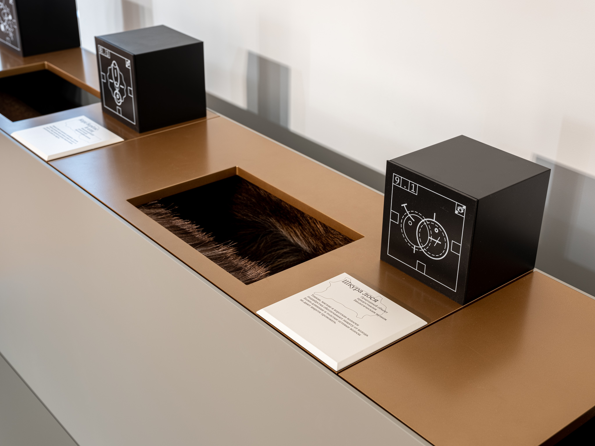 12 Signs of the Life 展览丨Holystick-14