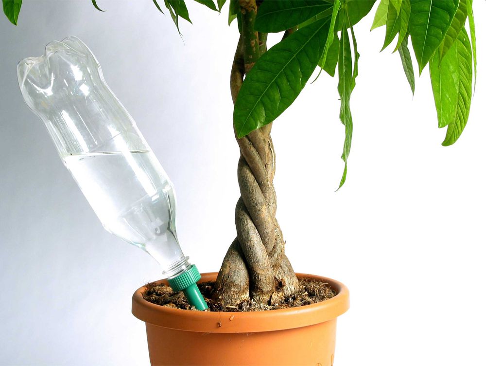 ALEHOP! – emiliana design studio展览丨西班牙巴塞罗那丨未明确-13