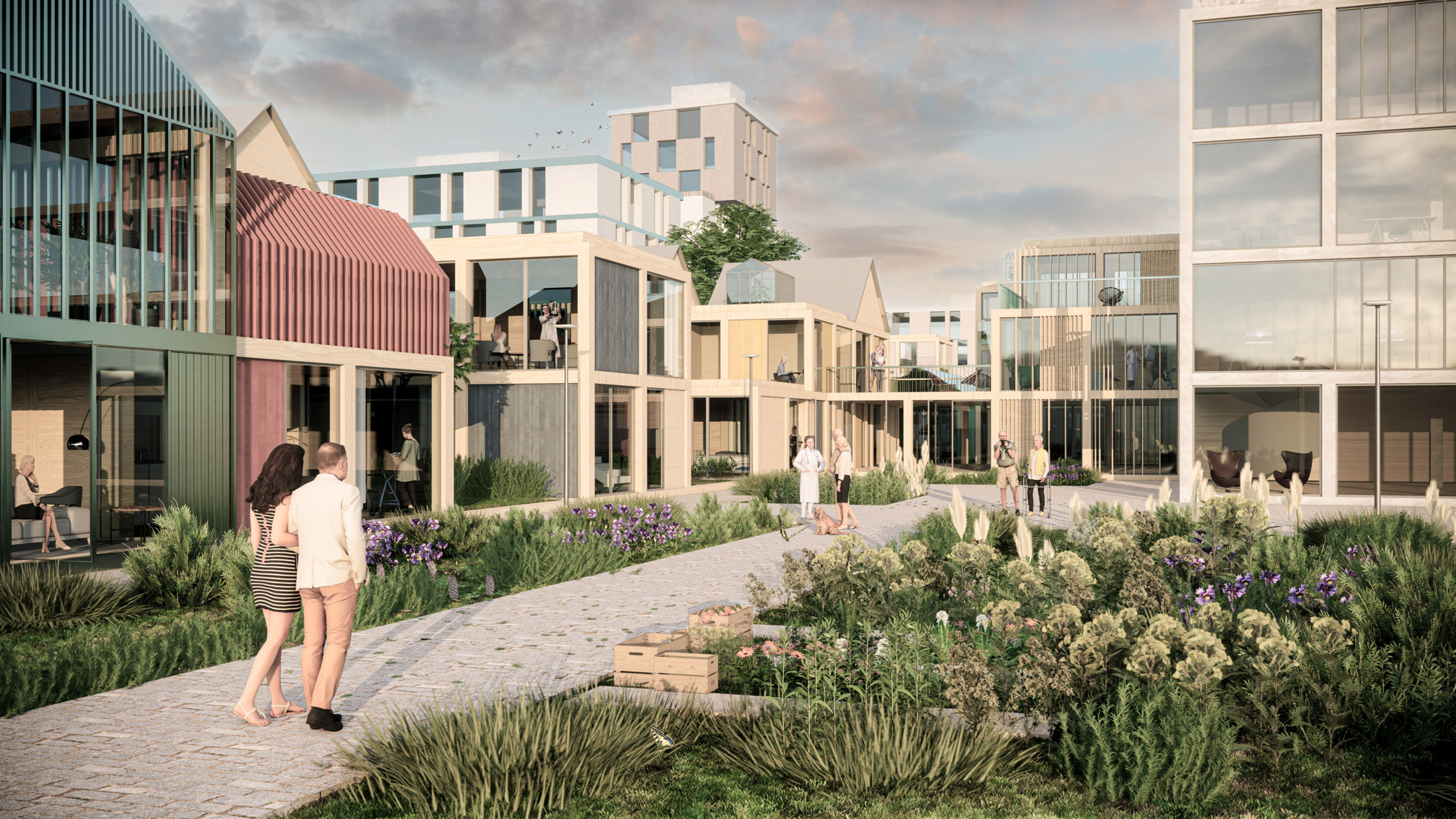 2022 年奥斯陆建筑三年展探讨可持续城市发展-0