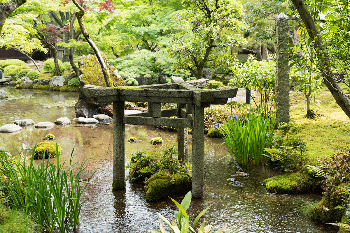 旧时气韵，现代延承 | 植彌加藤-67