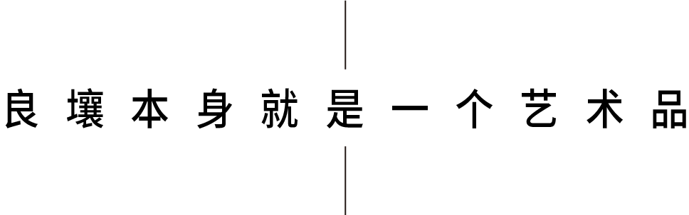 良壤酒店丨水平线设计-31