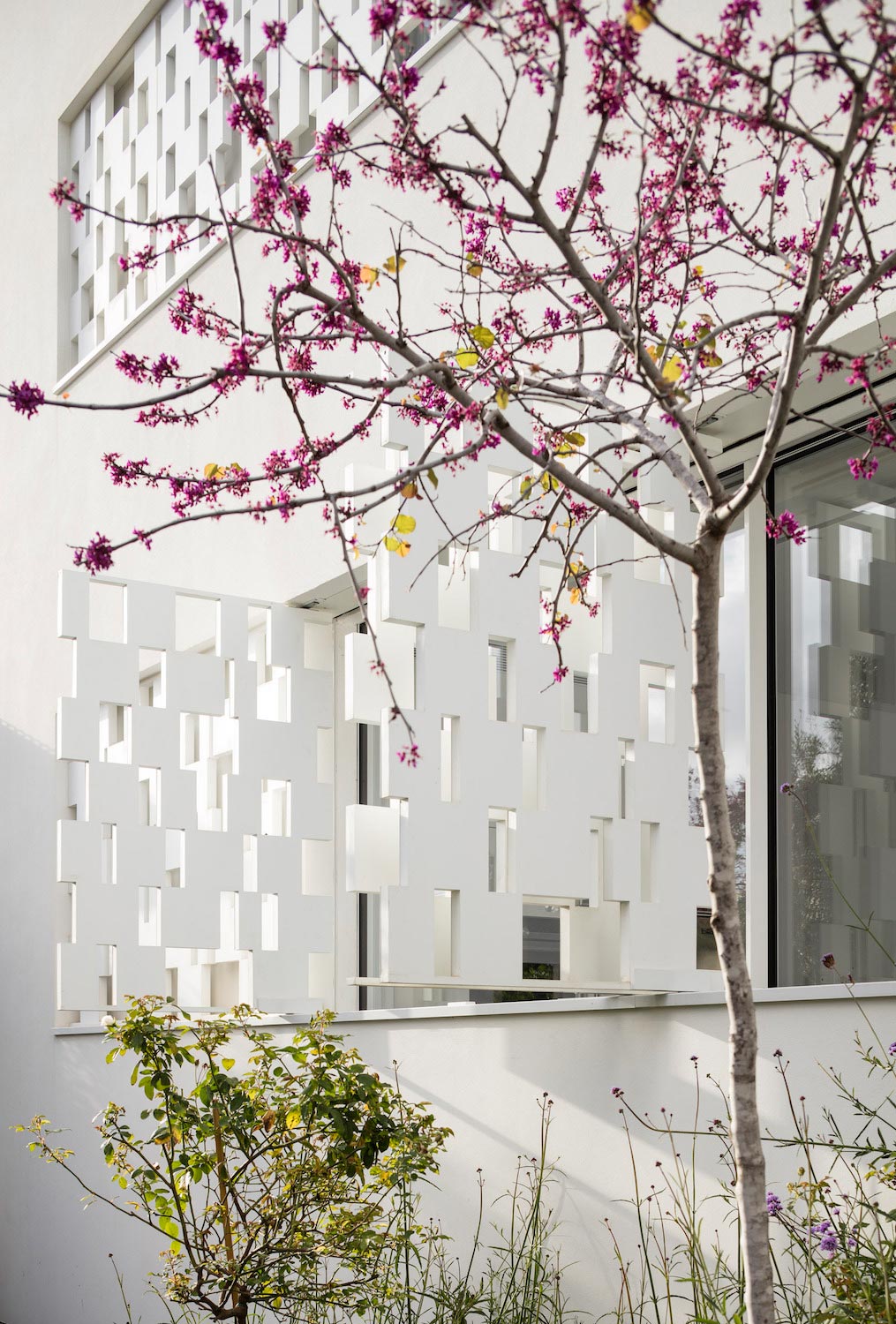 特拉维夫现代乡村之家-19