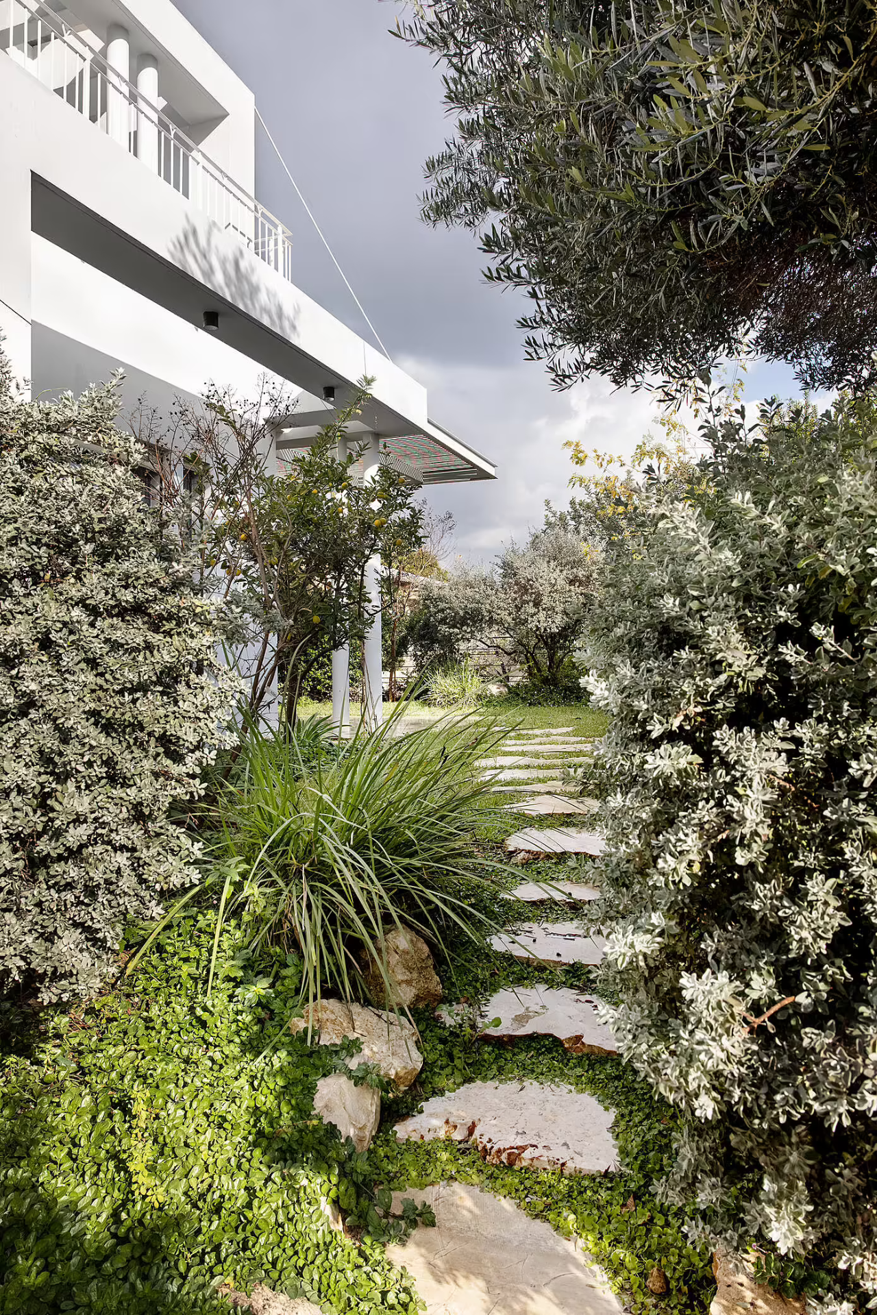 白色梦想家园丨以色列丨Keren NivToledano-31