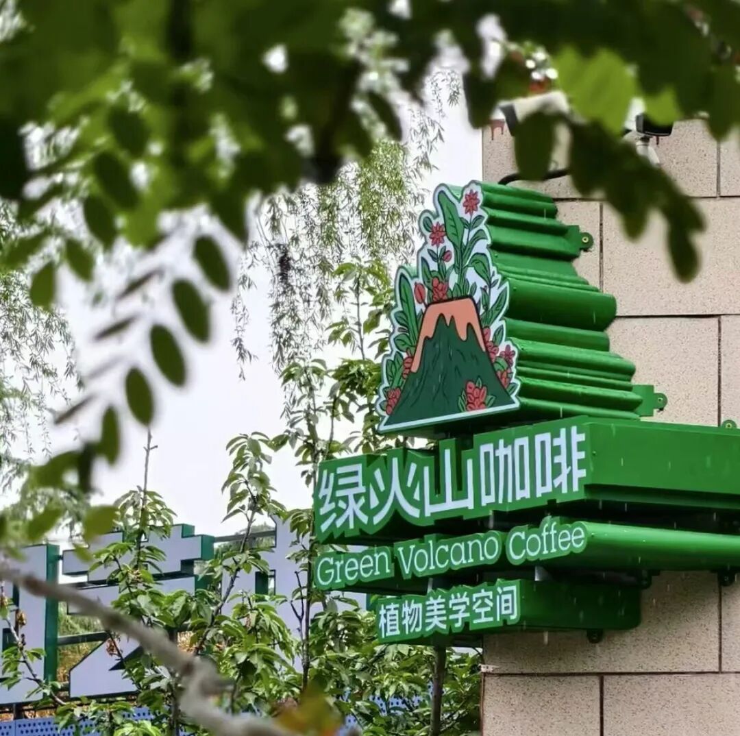 泉城焕新绿▏泉民园艺中心旗舰店-24