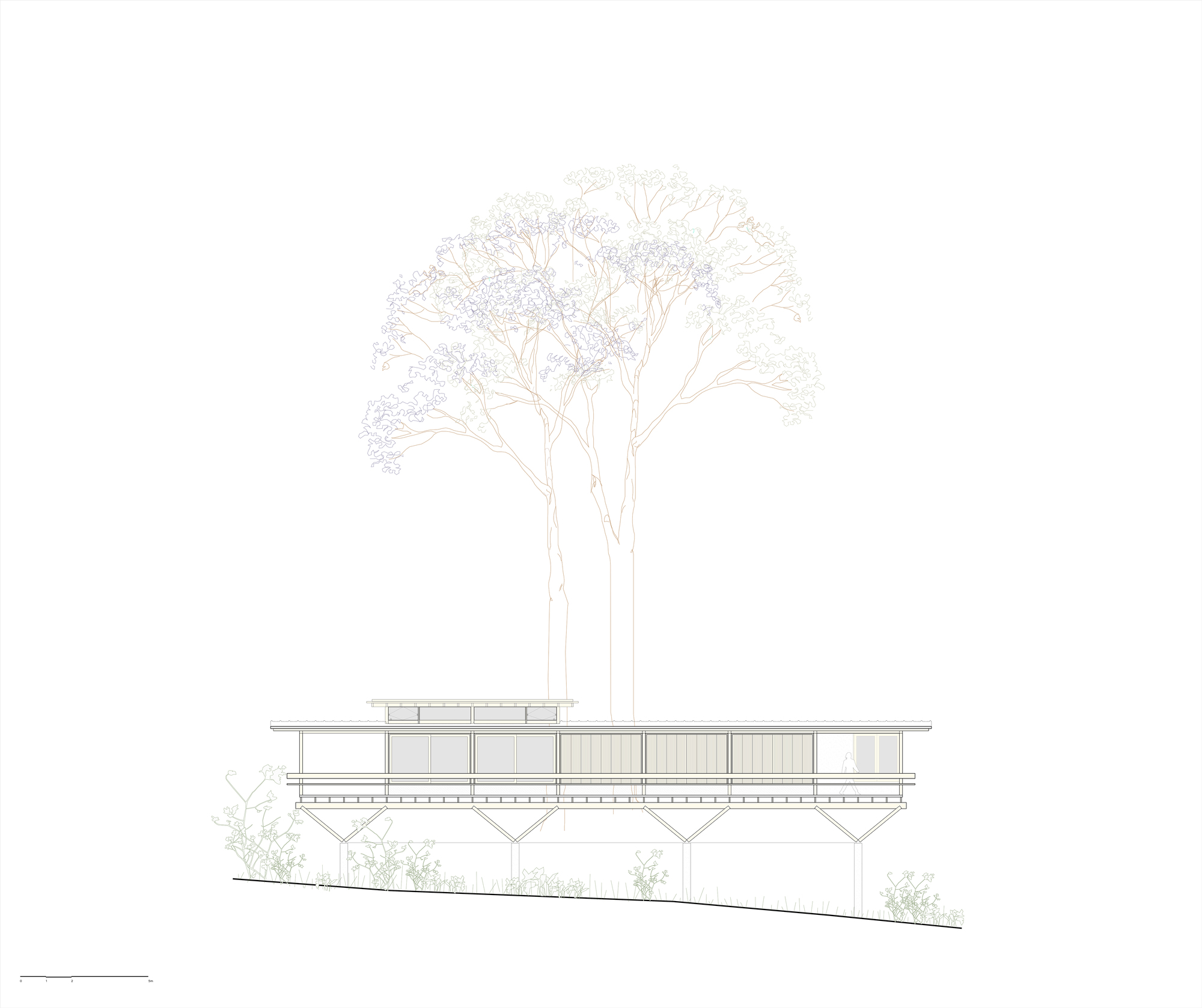 丨巴西帕拉丨Arquipélago Arquitetos-50