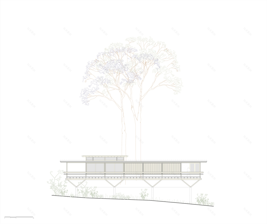 丨巴西帕拉丨Arquipélago Arquitetos-50