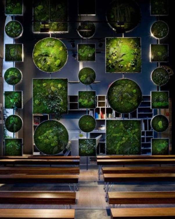 绿先生 | 把热带雨林搬进城市的垂直花园之父-64