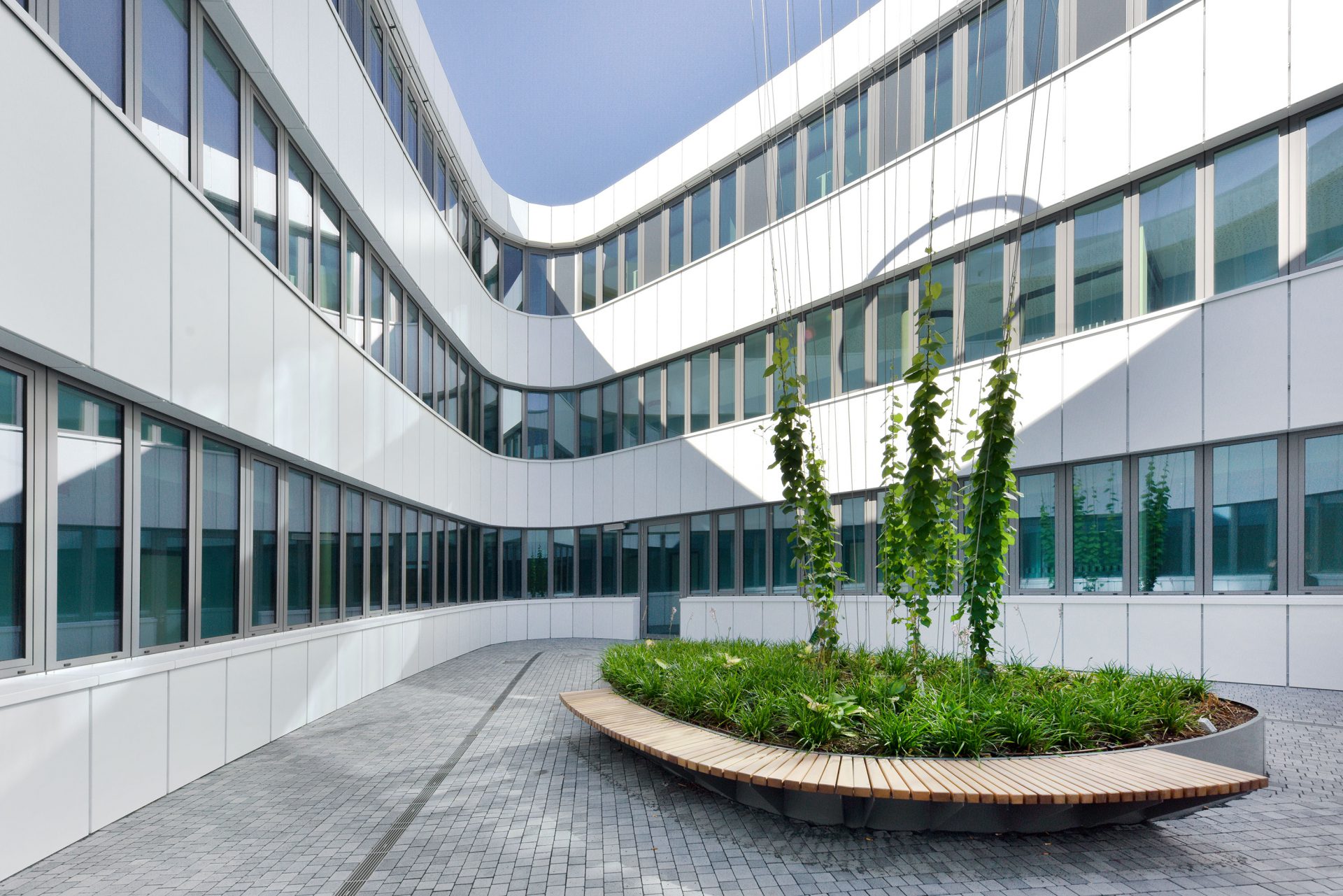 法兰克福应用科技大学校园研讨及多功能大楼丨德国法兰克福丨HASCHER JEHLE Architektur(柏林)-14