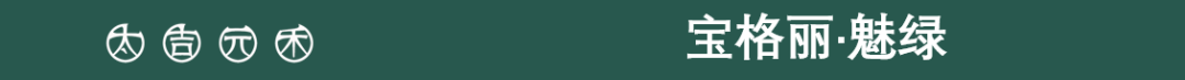 南京润禾府|宝格丽·魅绿-0