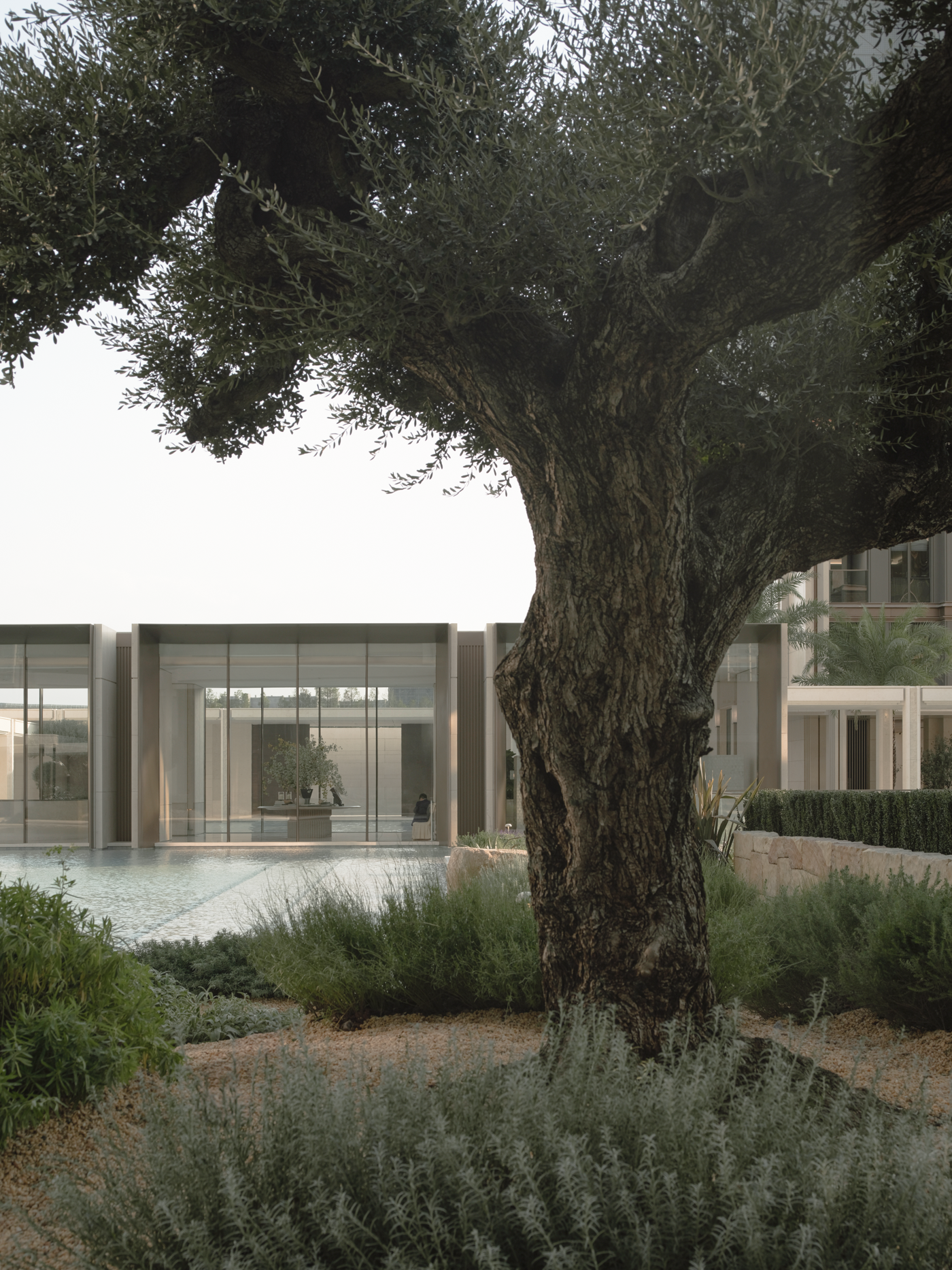 中天海威·璟逸丨中国杭州丨成都麦微景观建筑事务所等多家单位-77