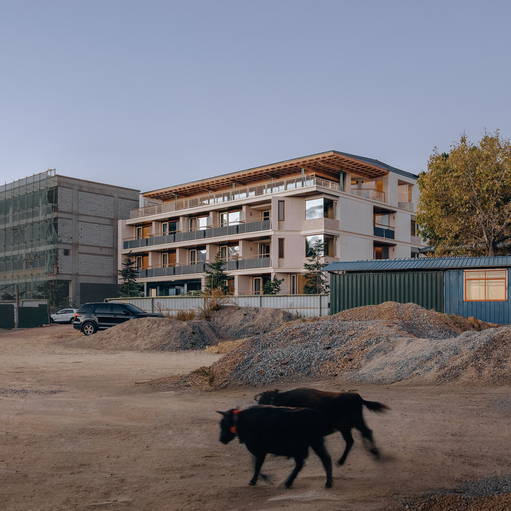 大乐之野（德钦梅里雪山店）丨中国云南丨上海末广设计事务所-5