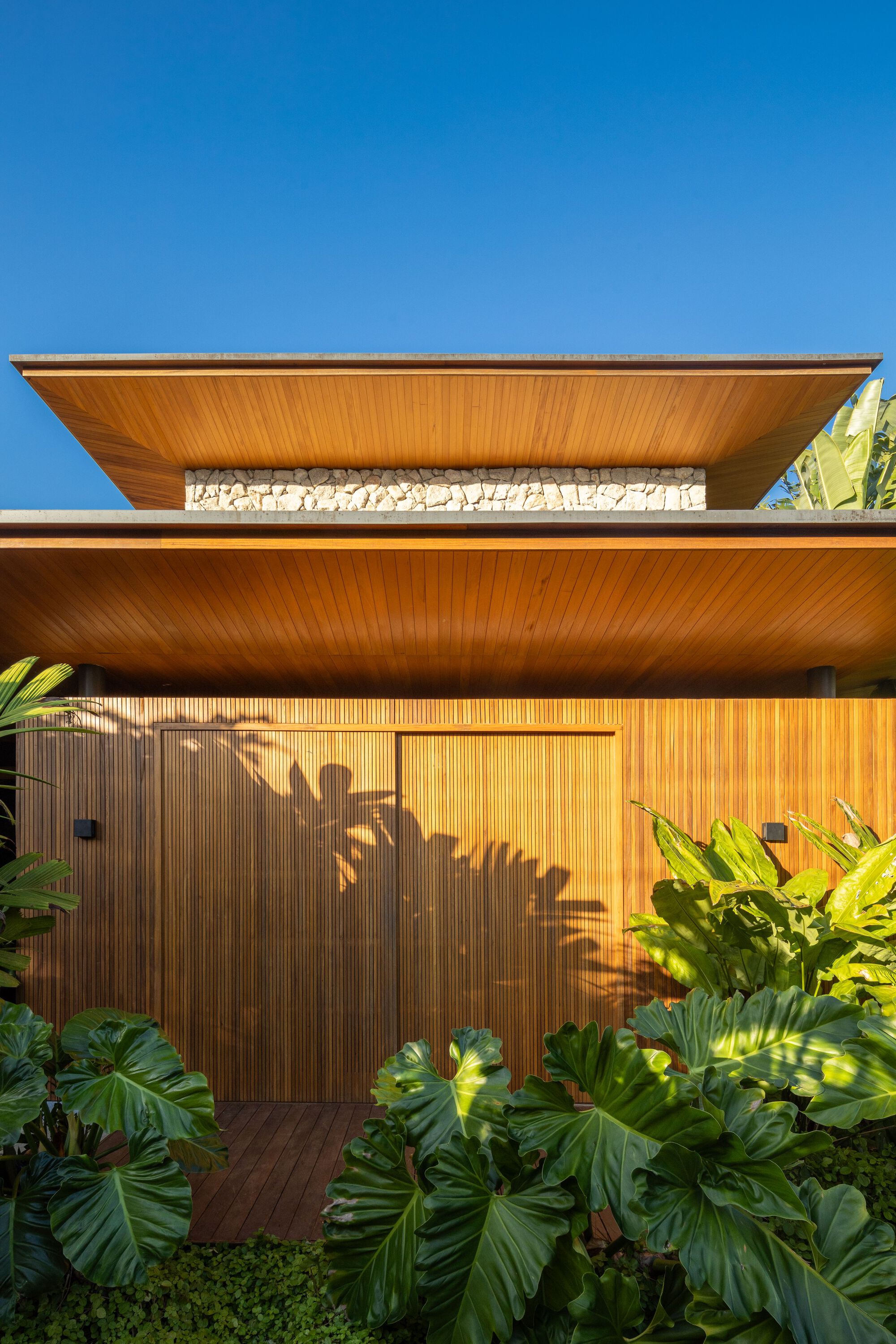 丨巴西丨Pitta Arquitetura-7