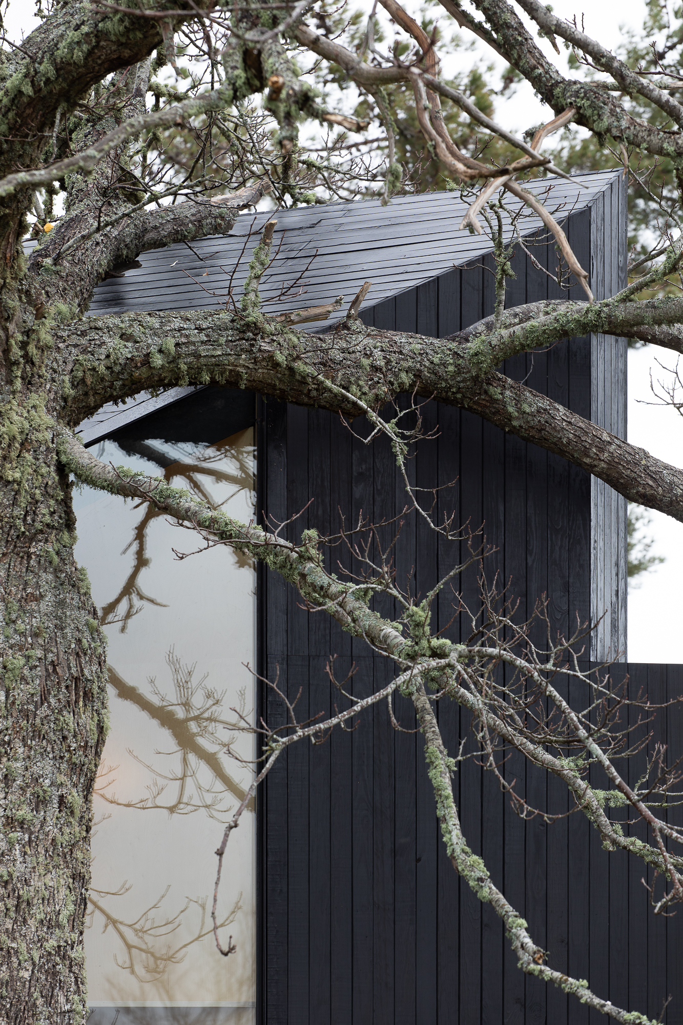 栗树屋丨葡萄牙丨João Mendes Ribeiro-49