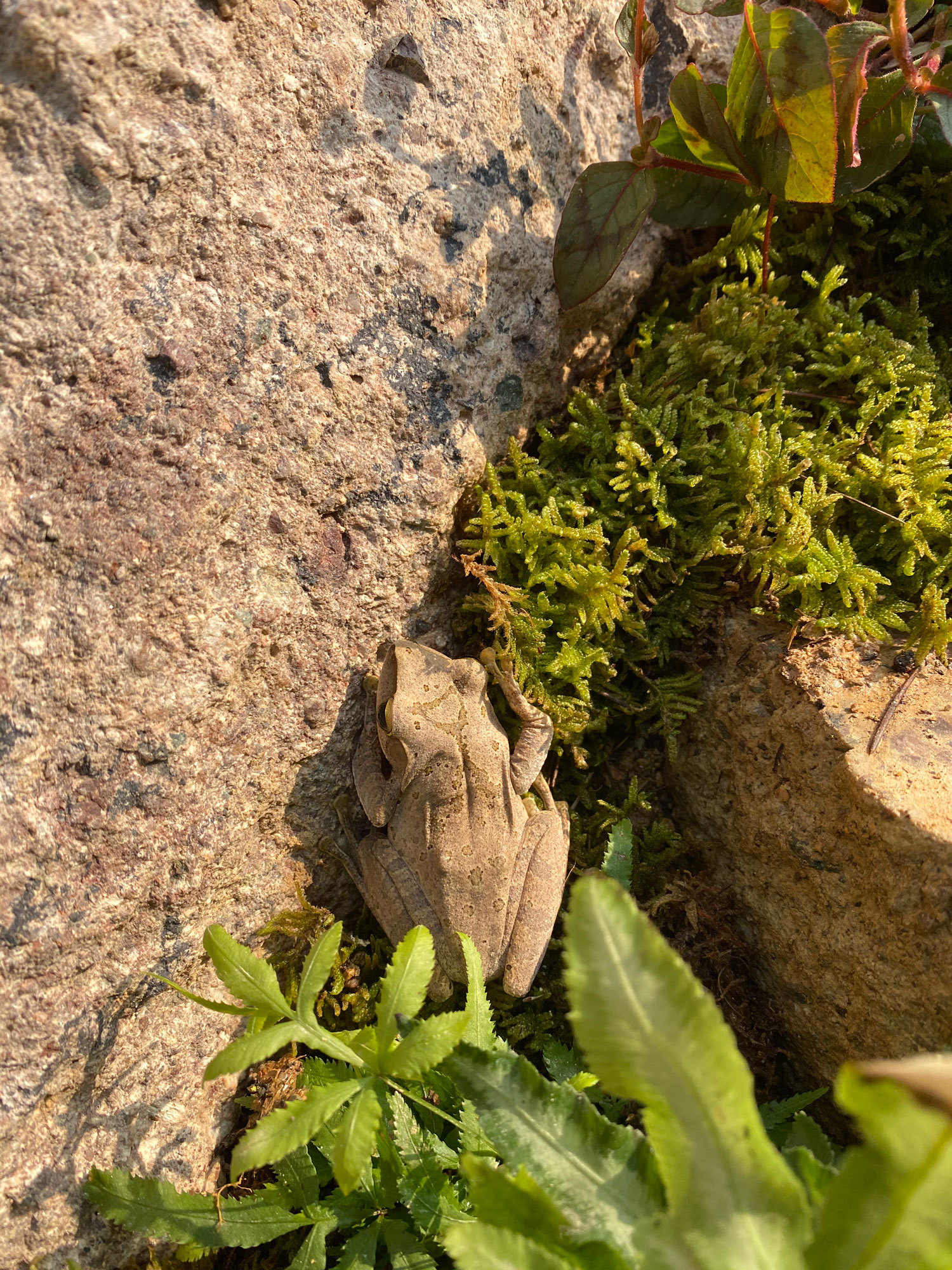 Shenzhen Flower Show - Xanthe White Design-4