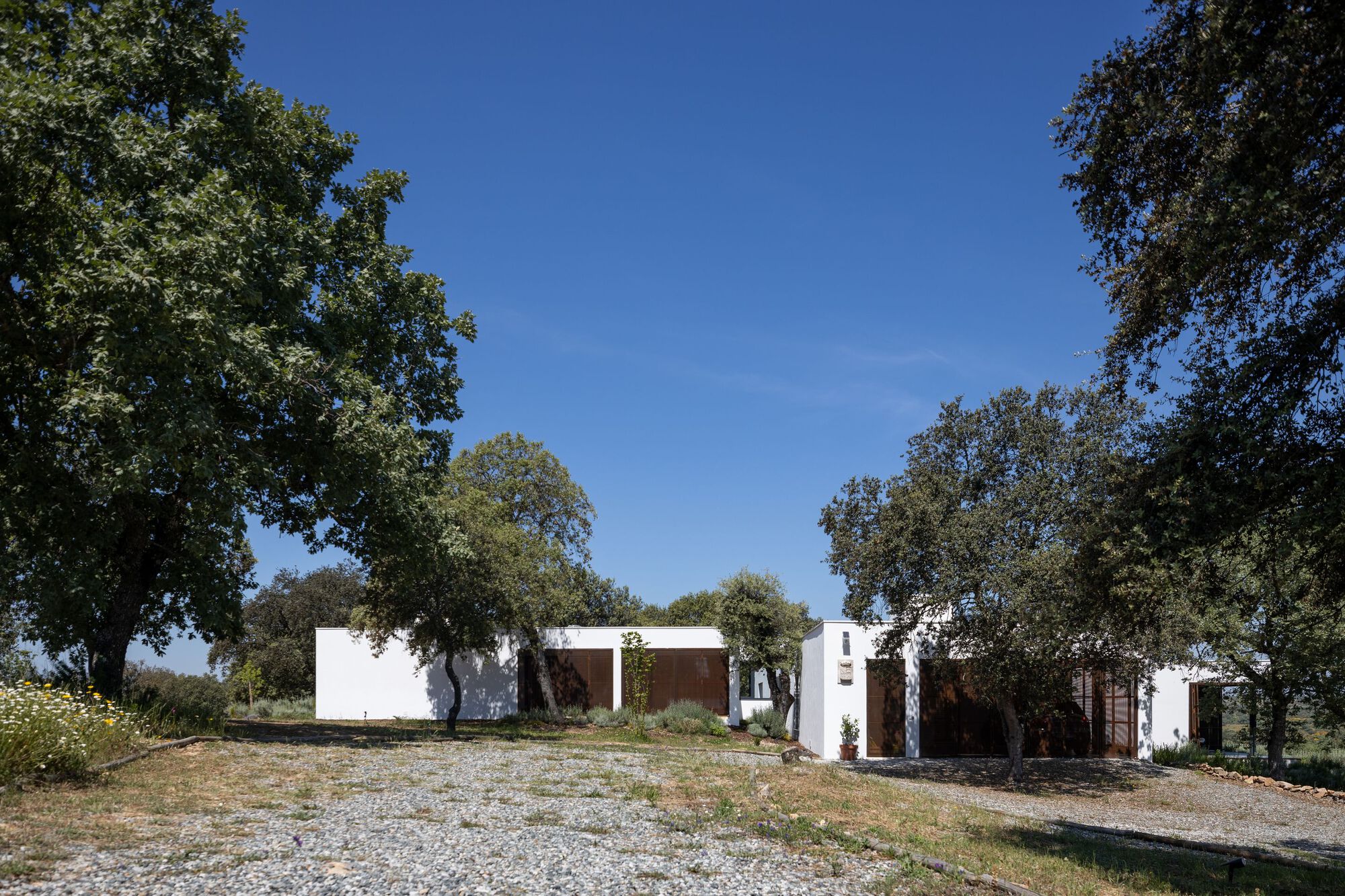 克拉托的房子丨葡萄牙丨Inês Brandão Arquitectura-63