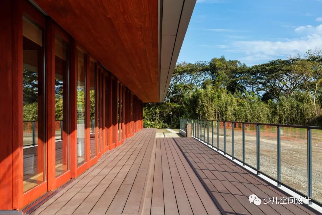 托儿所设计丨屋顶下的图画书森林-22