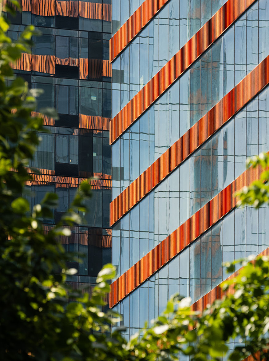 纽约 JACX 创意办公大楼丨美国纽约丨MdeAS Architects-14