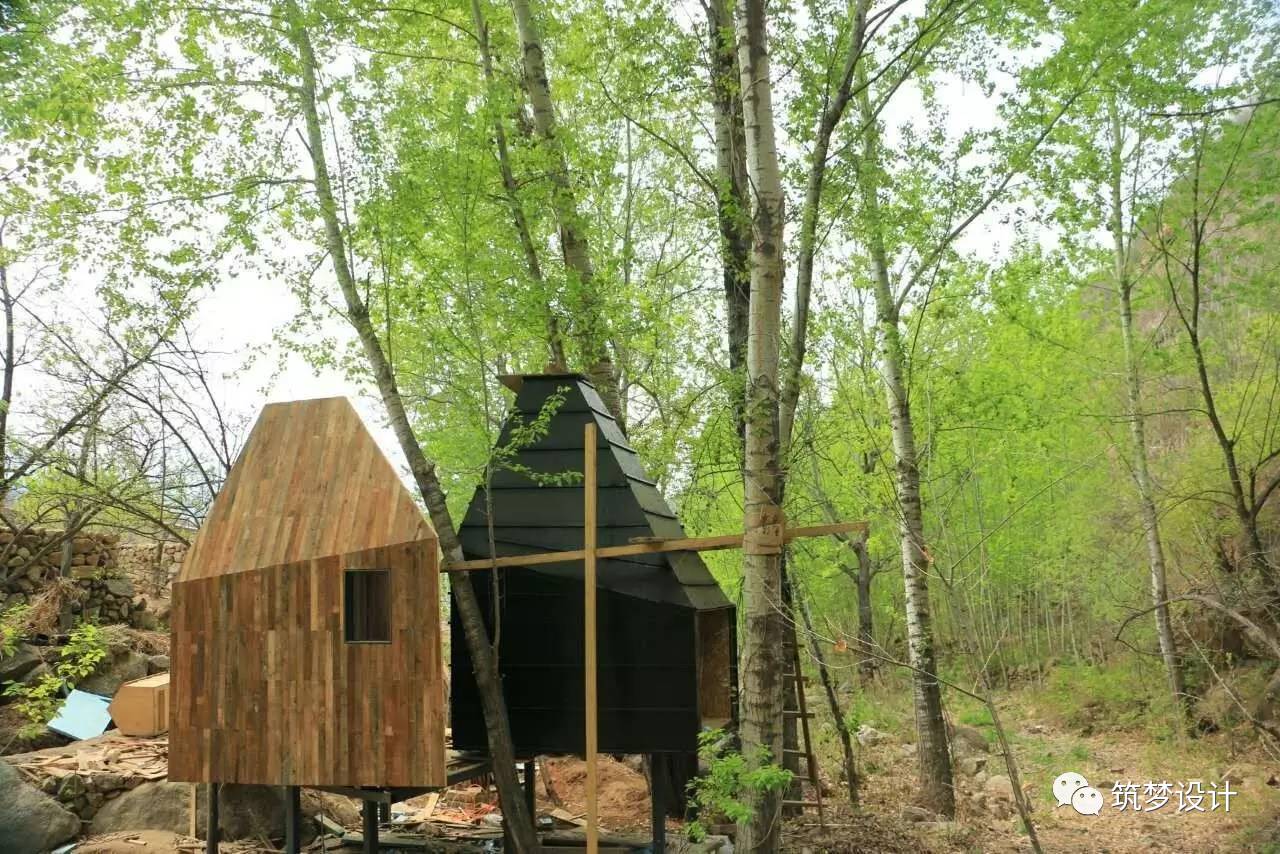 听闻 |这个春天到北京看树屋-75