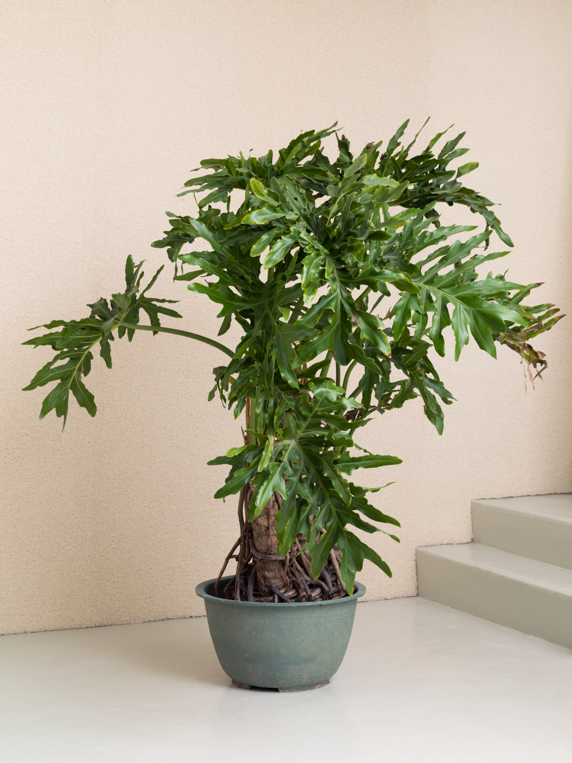 风穴之城 | 香港混合风格室内设计-28