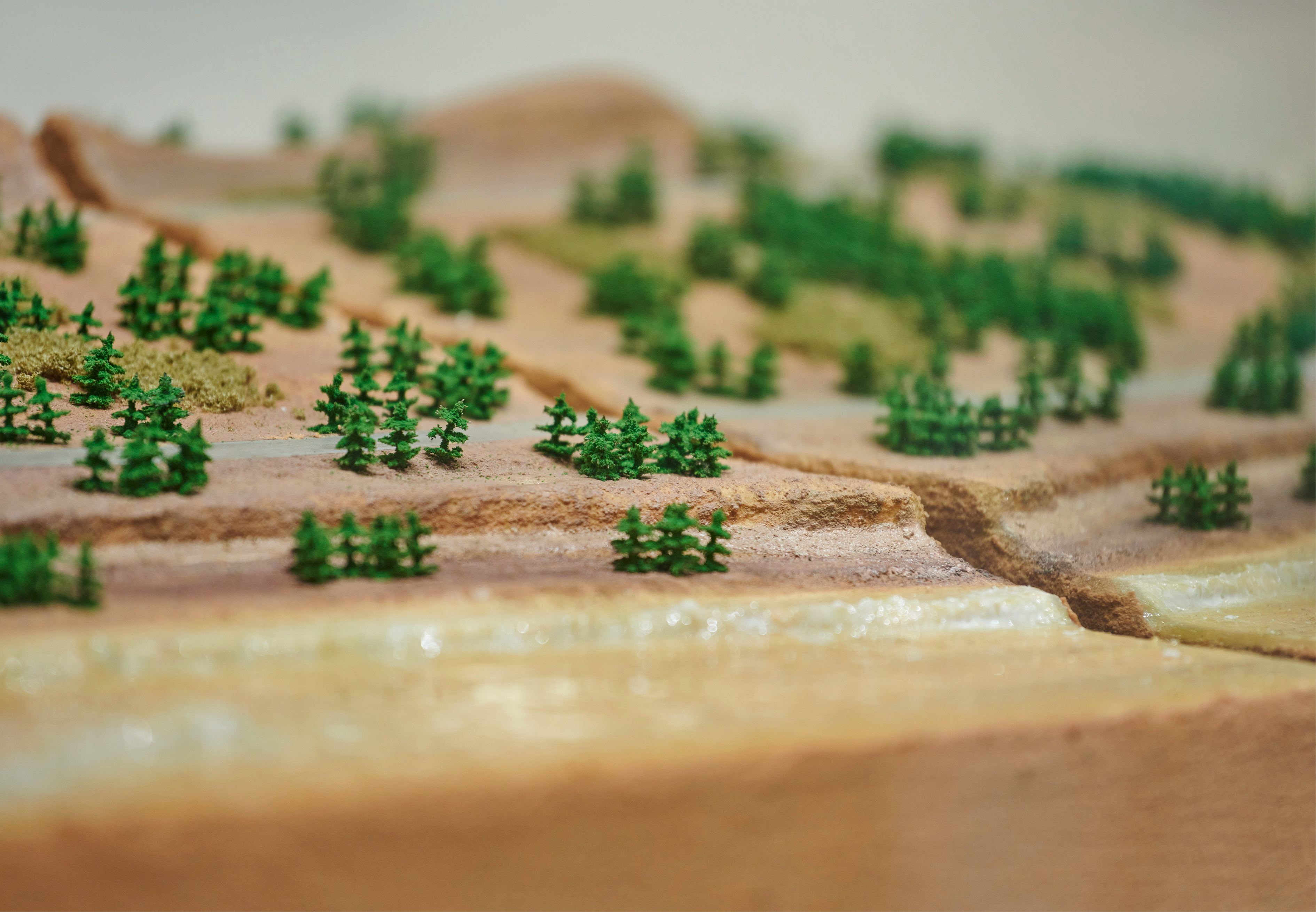 杭州天目里绿色嘉年华「森林里」丨中国杭州丨蚂蚁森林,杭州天目里,不是美术馆-34