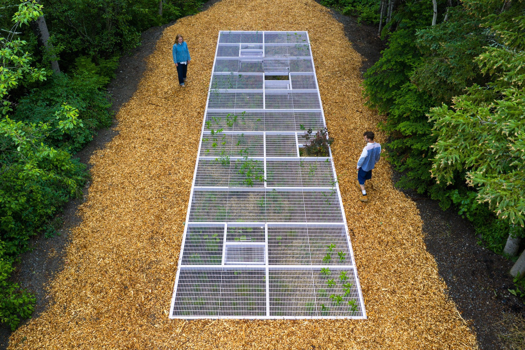 2025国际花园节:边界丨bureau60a（视觉识别设计）-18