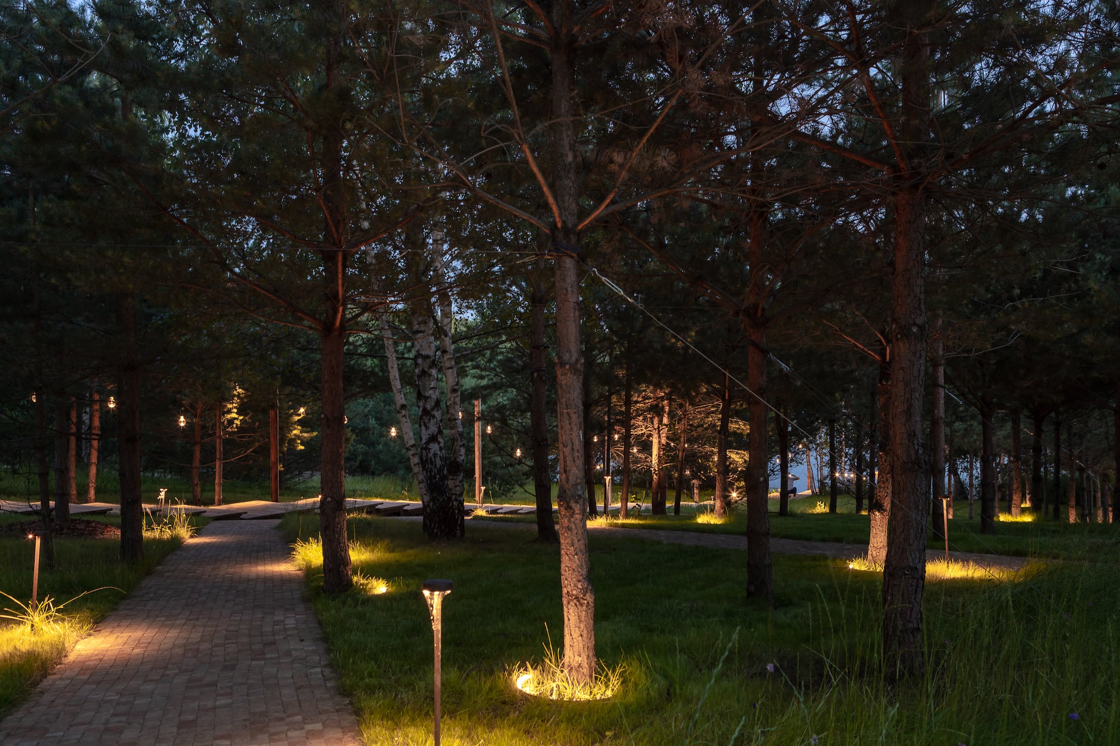 莫斯科北部童话森林湖景-14